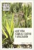 Aloe vera (Sábila): cultivo y utilización