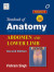 Back of the Thigh and Popliteal Fossa (Ebook)
