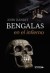 Bengalas en el infierno (Ebook)