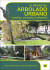 El riesgo del arbolado urbano. Contexto, concepto y evaluación