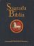 Sagrada Biblia (ed. popular)