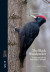 The Black Woodpecker