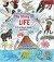 The Story of Life: A First Book about Evolution